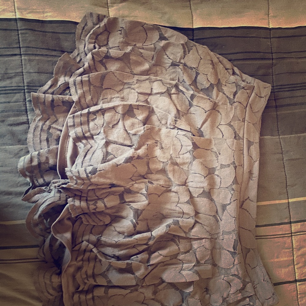 Plus size Torrid shorts